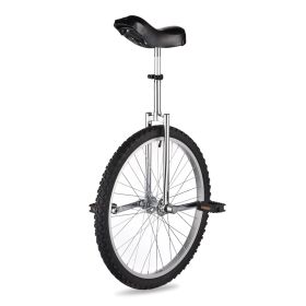 24in Wheel Unicycle Chrome