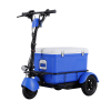 Elevate Your Journey with the Camp Pioneer-Experience Speeds up to 11.6 MPH and a Generous 55L Cooler Capacity